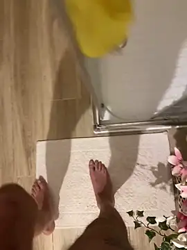 falloso77 online show from 27, 11, 2025