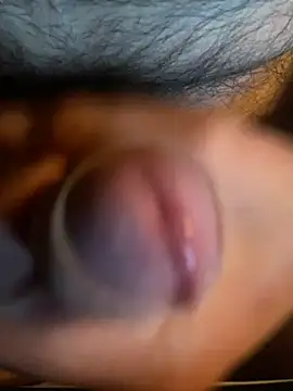 falloso77 online show from 2, 12, 2024