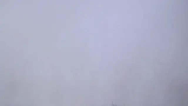 SusanLeroy online show from 10, 4, 2026