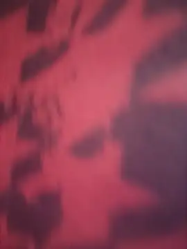 77fuckerboy  online show from 3, 12, 2025