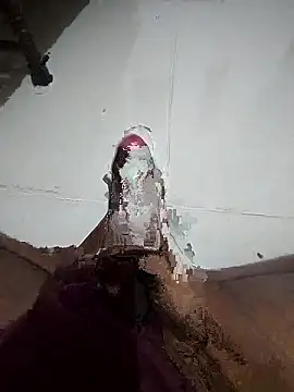 SageElement2 online show from 12, 1, 2026