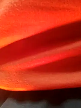 Wild-Honey online show from 16, 1, 2025