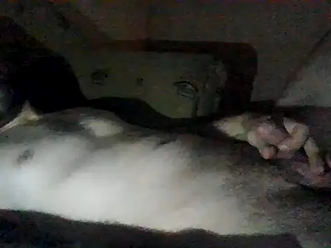 Vicktore007 online show from 13, 9, 2025