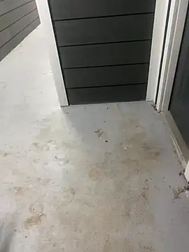 zeekBbc online show from 28, 2, 2026