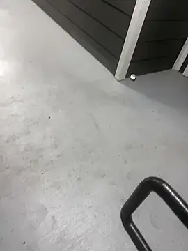 zeekBbc online show from 28, 10, 2025