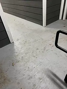 zeekBbc online show from 10, 2, 2026