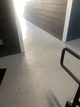 zeekBbc online show from 9, 11, 2025