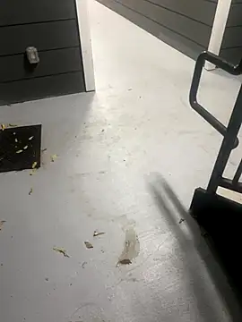 zeekBbc online show from 16, 11, 2025