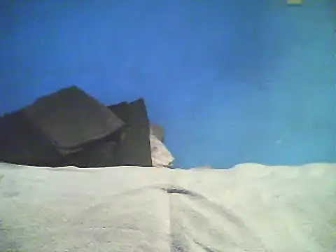 Snapshot of Vago745 chatting on 2, 12, 2024 Vago745 online show from 2, 12, 2024