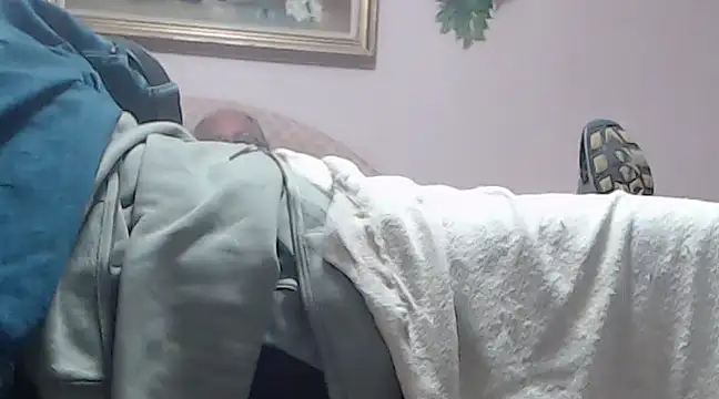 vanscr1 online show from 24, 12, 2024