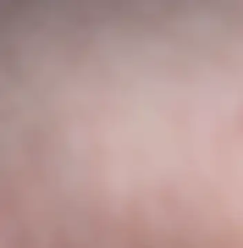 vanscr1 online show from 24, 11, 2025