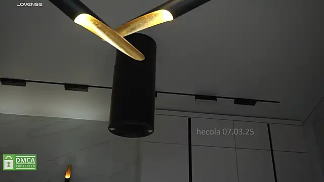 Snapshot of hecola chatting on 7, 3, 2025 hecola online show from 7, 3, 2025