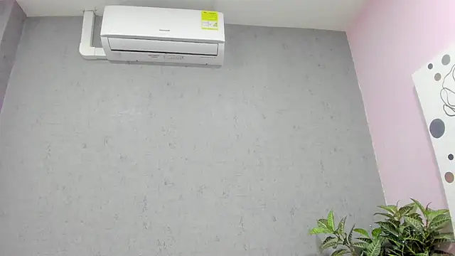 Tiffany mendez online show from 2, 12, 2025