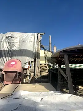 4n4l1zz4m1 online show from 29, 10, 2025