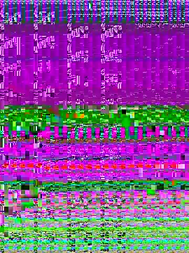 4n4l1zz4m1 online show from 11, 11, 2025