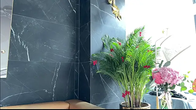 Flying-Dutchmana online show from 10, 3, 2026