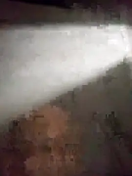 edijavimes online show from 20, 2, 2026