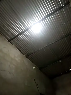 edijavimes online show from 3, 3, 2026