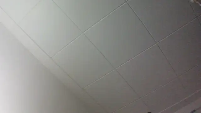 gorkamacbew online show from 9, 9, 2025