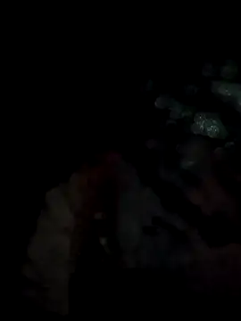 lit702 online show from 6, 4, 2026