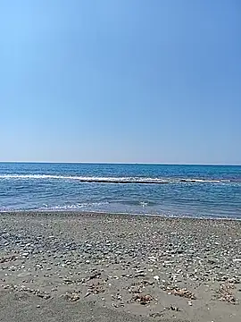 dhaadhawe online show from 20, 4, 2026