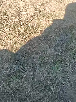 Gururonny07 online show from 13, 2, 2025