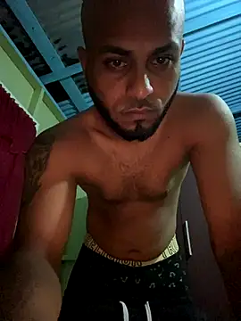 islandvybee55 online show from 14, 9, 2025