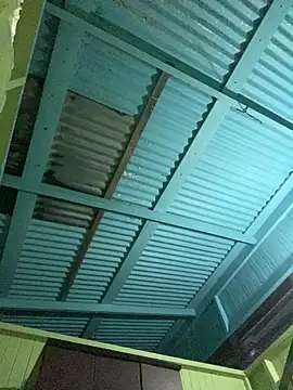 islandvybee55 online show from 11, 1, 2026