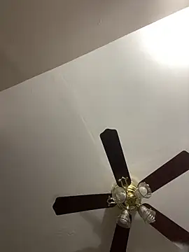 islandvybee55 online show from 20, 3, 2026