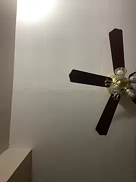 islandvybee55 online show from 17, 3, 2026