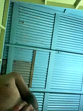 islandvybee55 online show from 16, 12, 2025