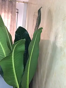 EmmaRossem online show from 31, 3, 2026