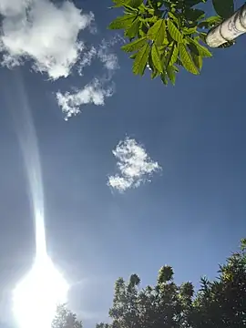 VioletaSubmissive online show from 19, 3, 2026