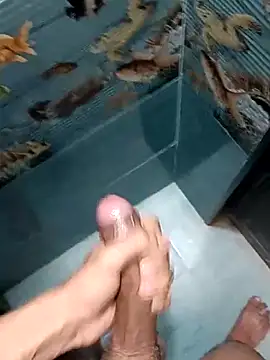 Mr joh online show from 7, 2, 2026