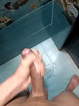 Mr joh online show from 3, 2, 2026