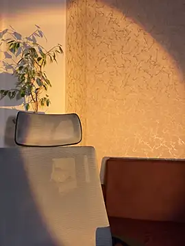 saint cat25 online show from 2, 3, 2026