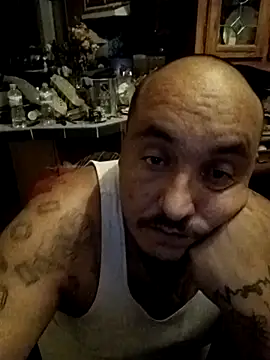 wilsons12 online show from 29, 11, 2025