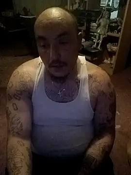 wilsons12 online show from 19, 4, 2026