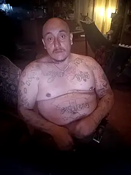 wilsons12 online show from 3, 3, 2026