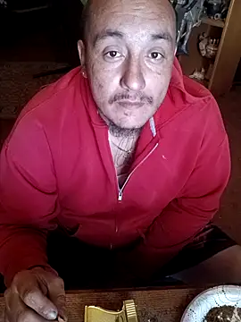 wilsons12 online show from 28, 3, 2026