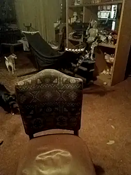 wilsons12 online show from 14, 2, 2026