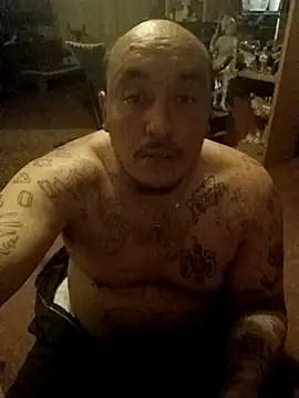 wilsons12 online show from 22, 2, 2026