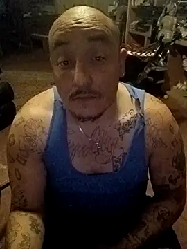 wilsons12 online show from 13, 2, 2026