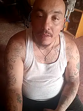 wilsons12 online show from 21, 4, 2026