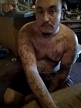 wilsons12 online show from 28, 10, 2025