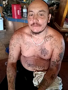 wilsons12 online show from 6, 10, 2025