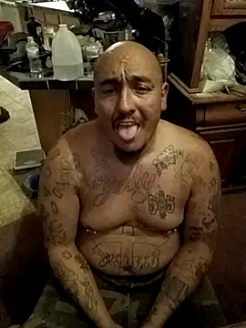 wilsons12 online show from 26, 11, 2025