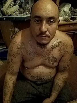 wilsons12 online show from 19, 11, 2025