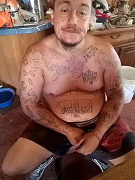 wilsons12 online show from 27, 10, 2025