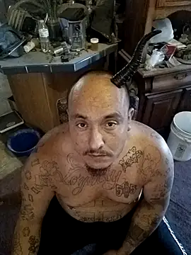 wilsons12 online show from 25, 10, 2025